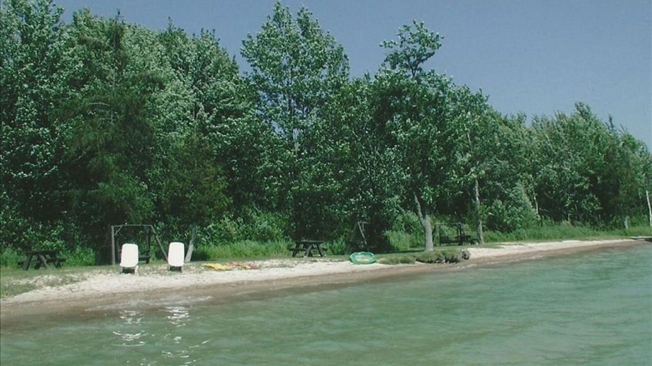 Photo of Others in Mullett Lake
