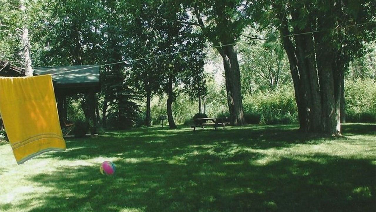 Photo of Outdoor in Mullett Lake