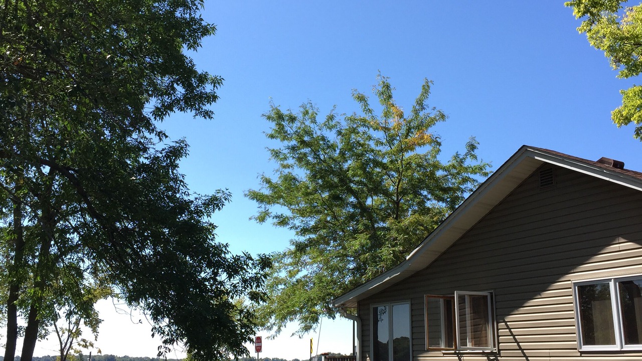 Photo of Outdoor in Spring Park