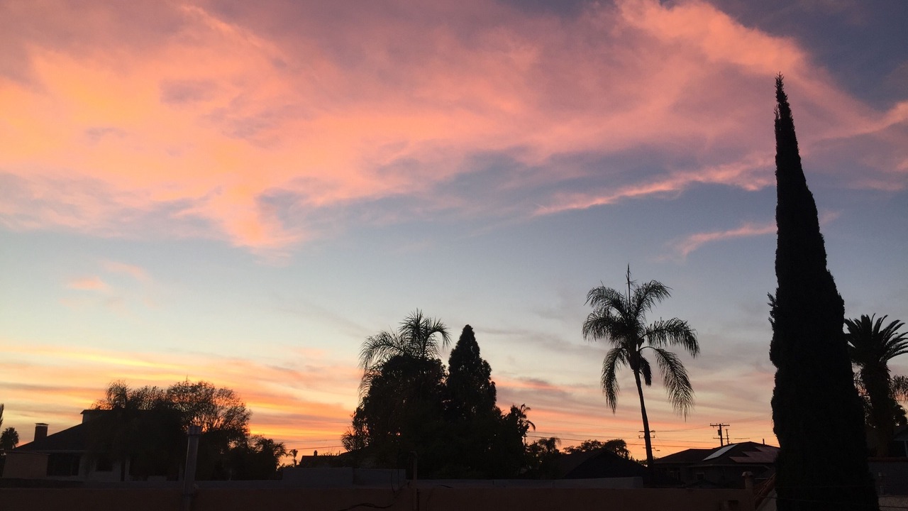 Photo of Outdoor in North Park
