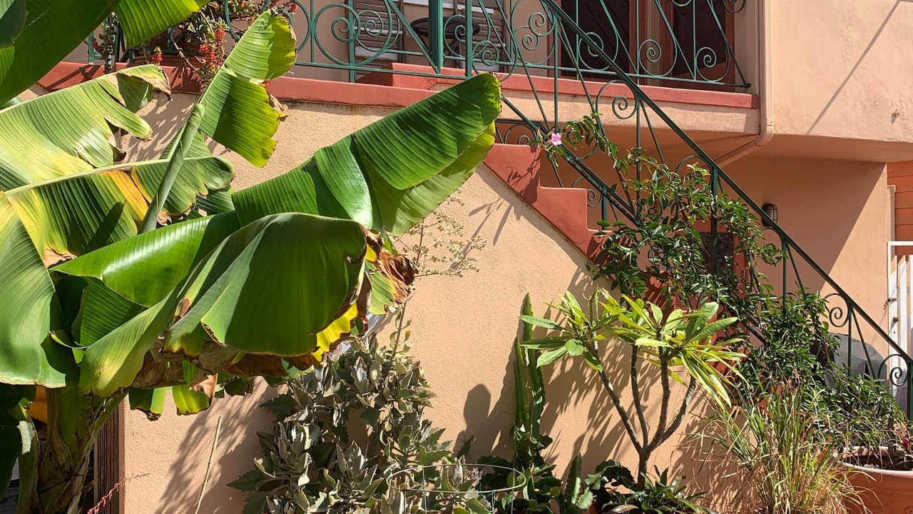 Photo of Outdoor in North Park