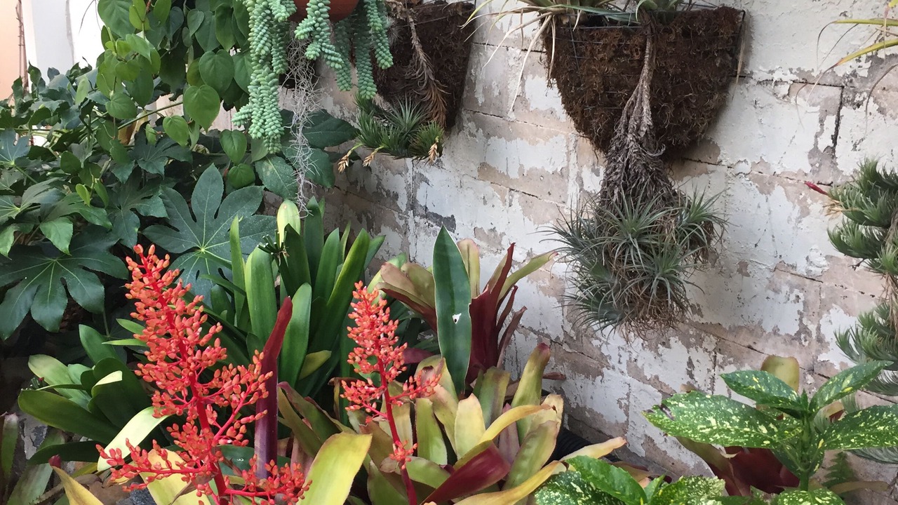 Photo of Outdoor in North Park