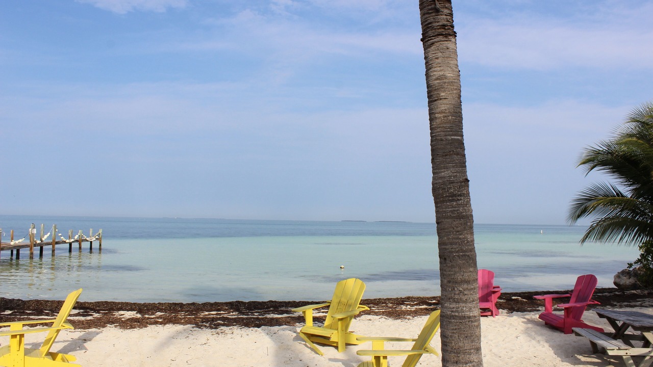 Photo of Others in Islamorada