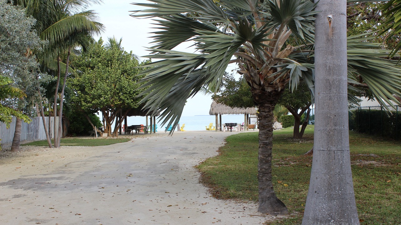 Photo of Others in Islamorada