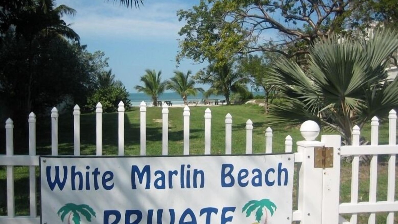 Photo of Others in Islamorada