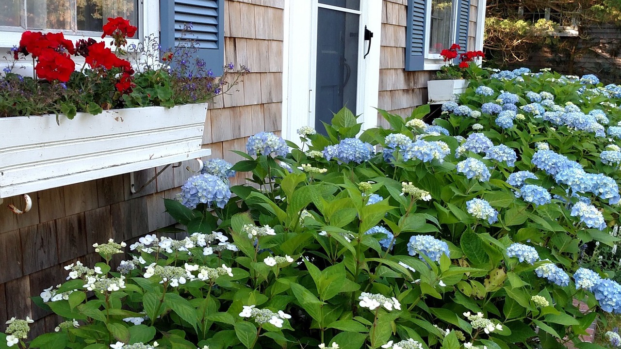 Photo of Others in Yarmouth Port
