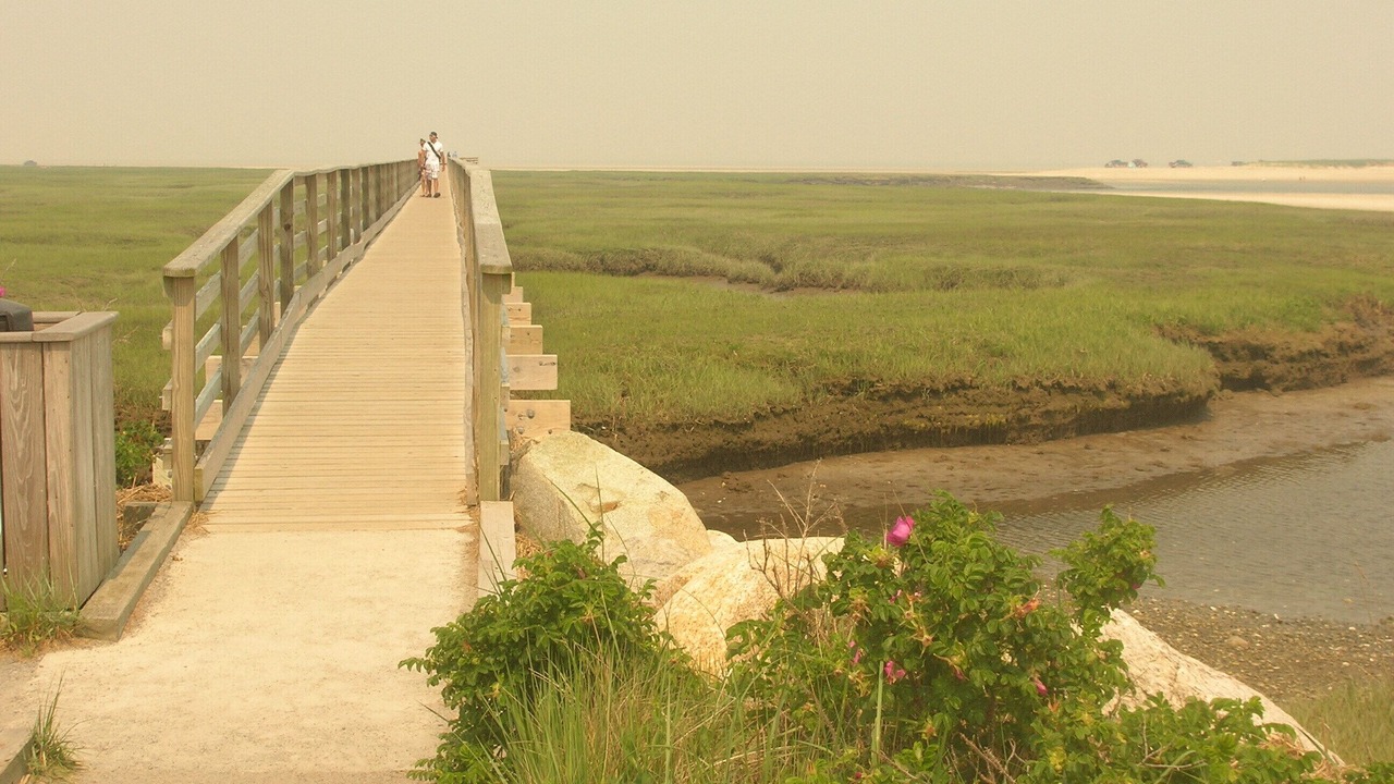 Photo of Others in Yarmouth Port