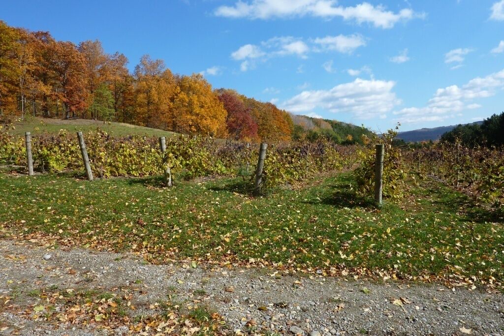 Photo of Others in Naples