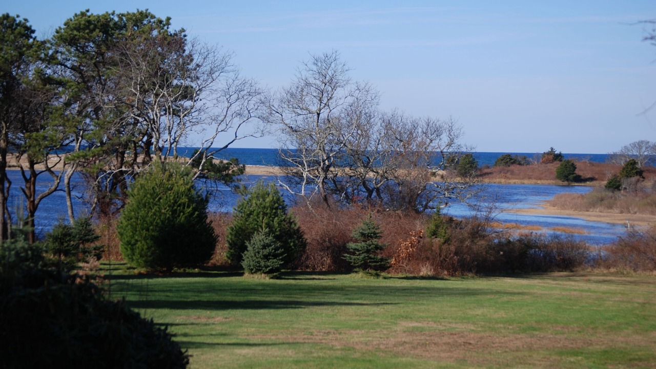 Photo of Others in Brewster