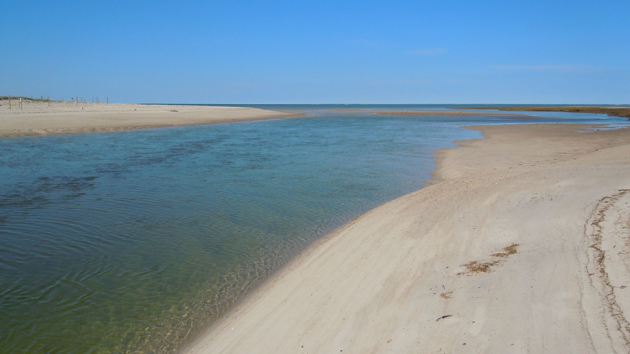 Photo of Others in Brewster