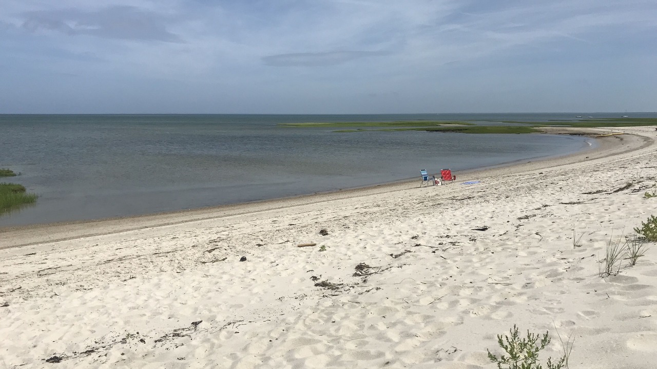 Photo of Others in Brewster