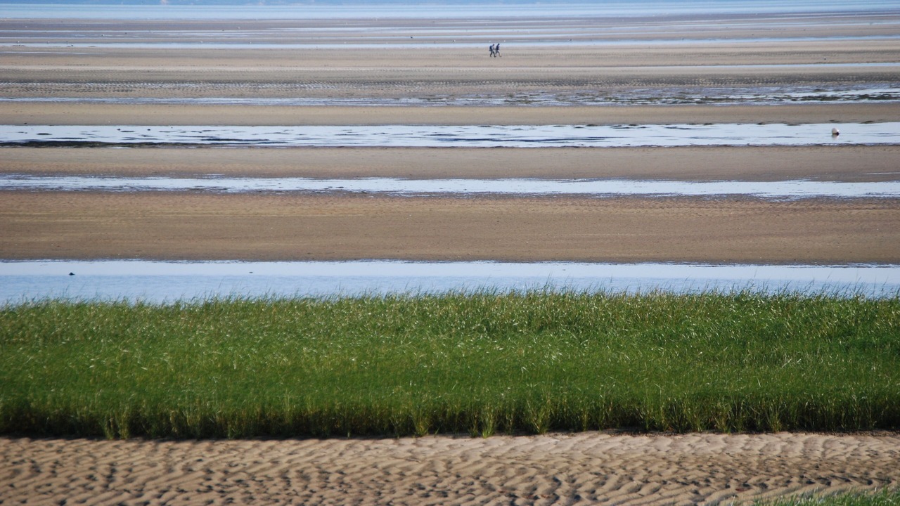 Photo of Others in Brewster