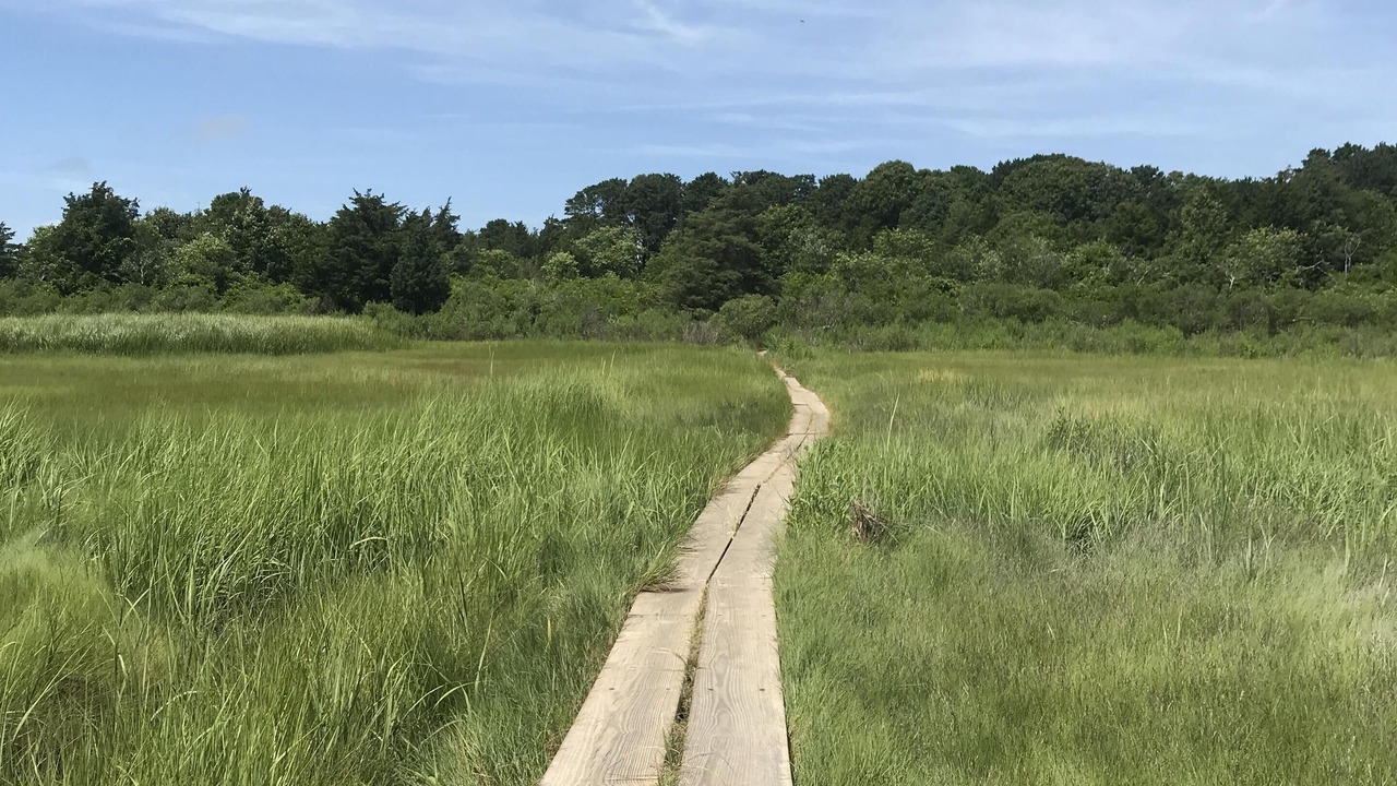 Photo of Others in Brewster