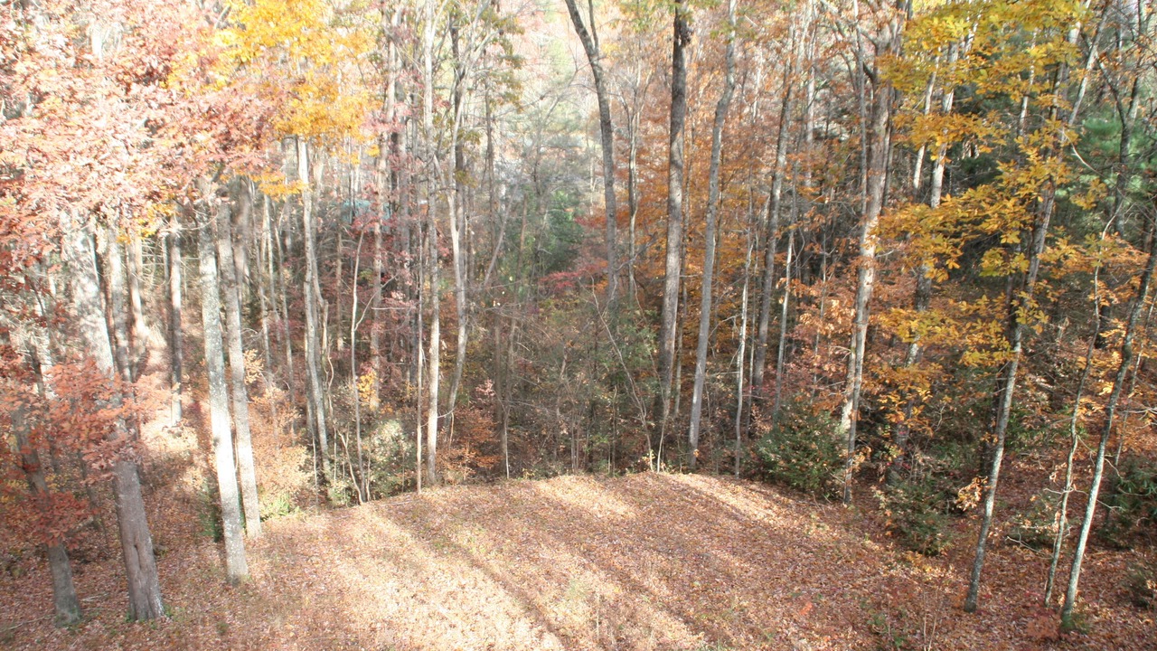 Photo of Outdoor in Wears Valley