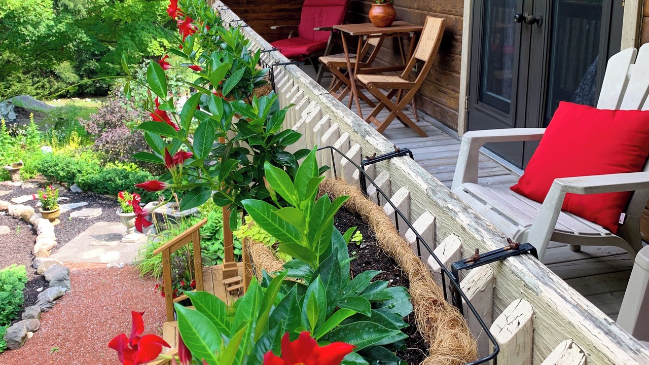 Photo of Patio Balcony in Bloomfield