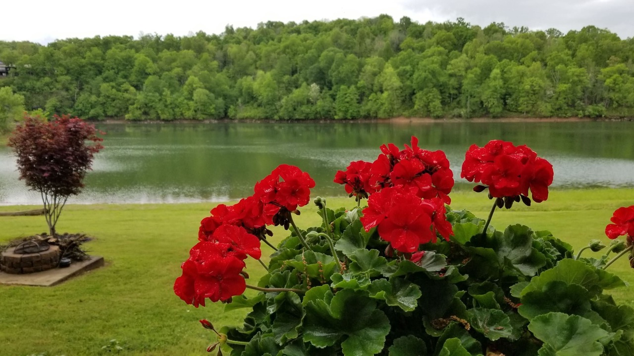 Photo of Outdoor in Rogers