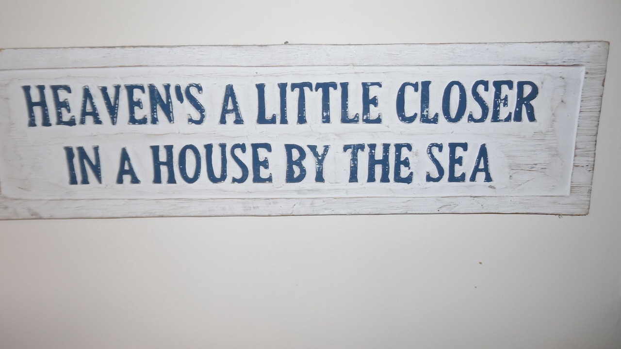 Photo of Others in St. Augustine Beach