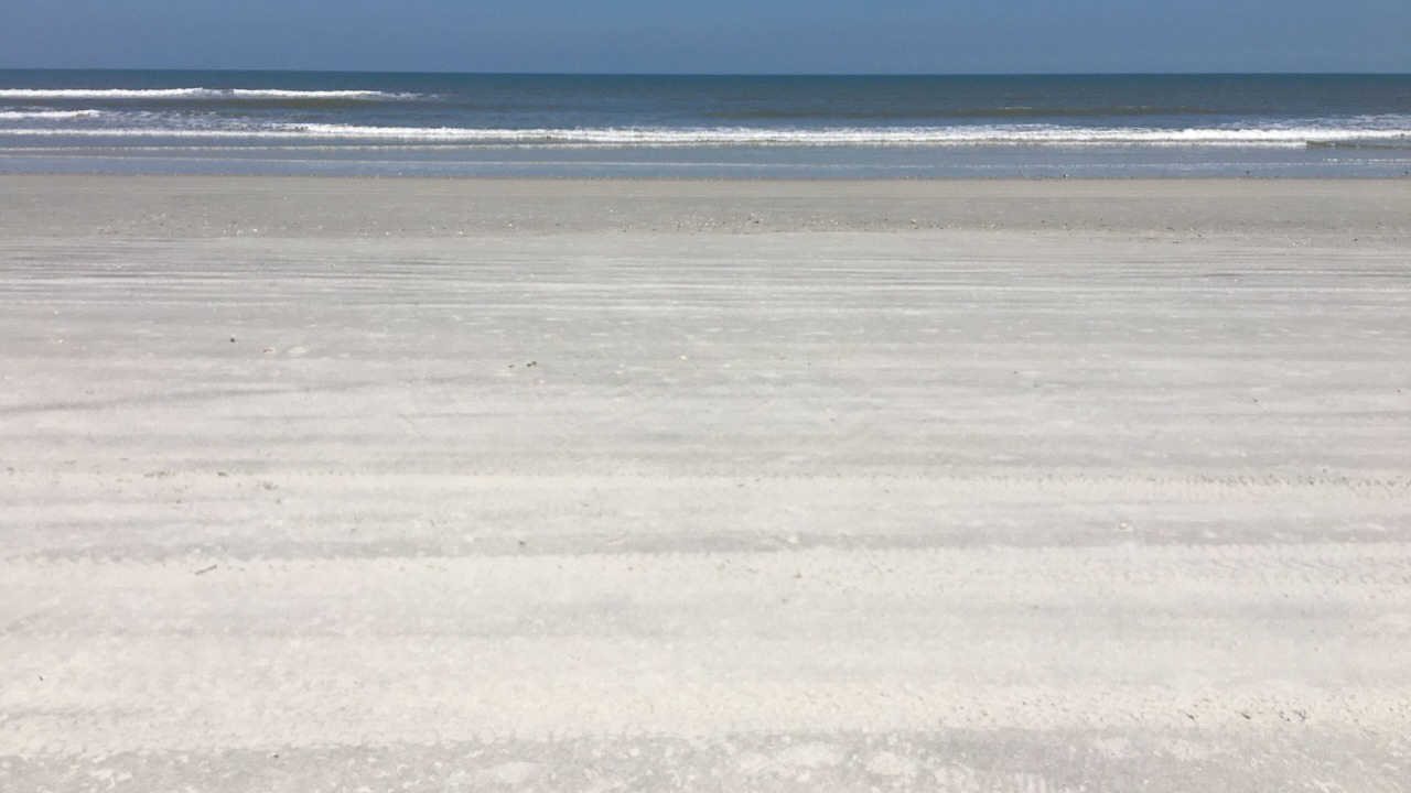 Photo of Others in St. Augustine Beach