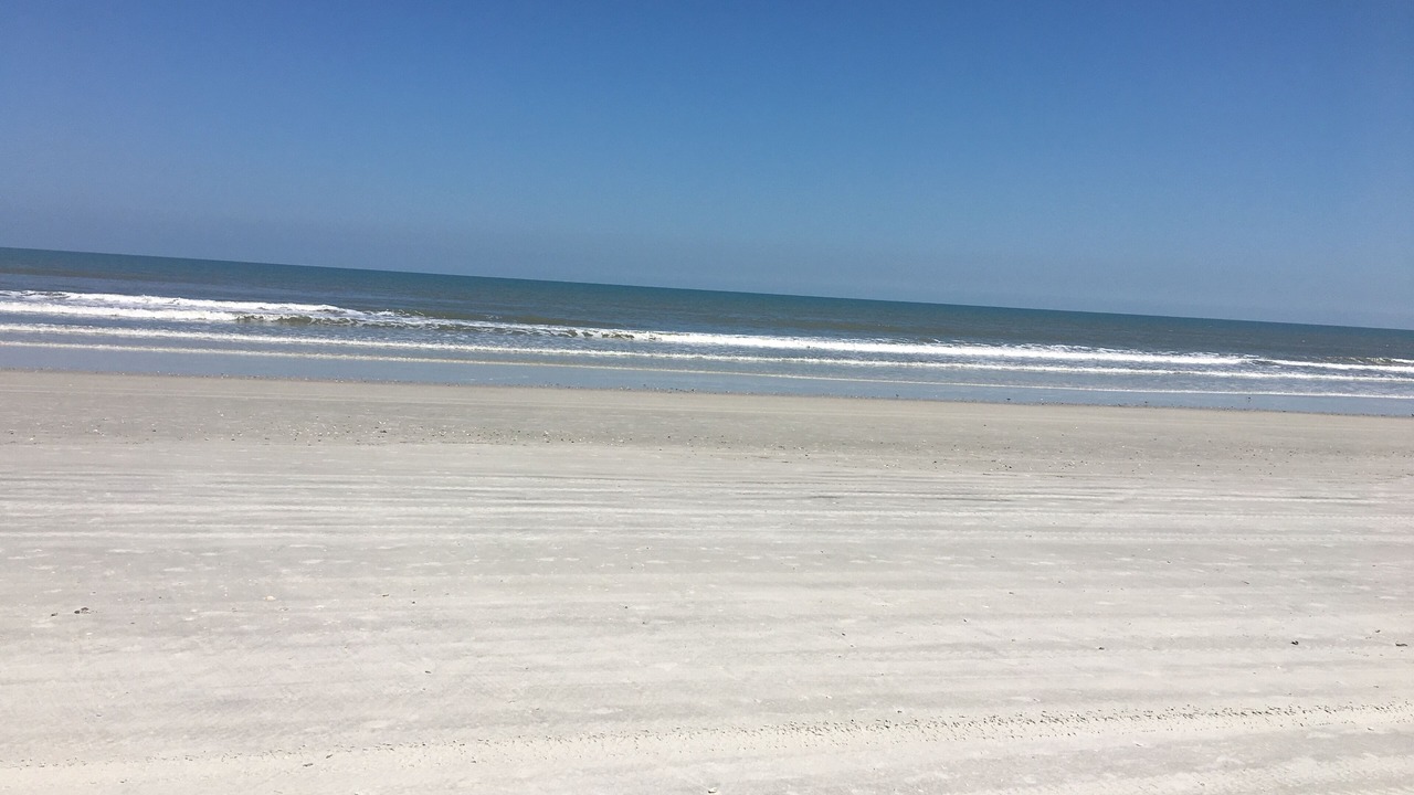 Photo of Others in St. Augustine Beach