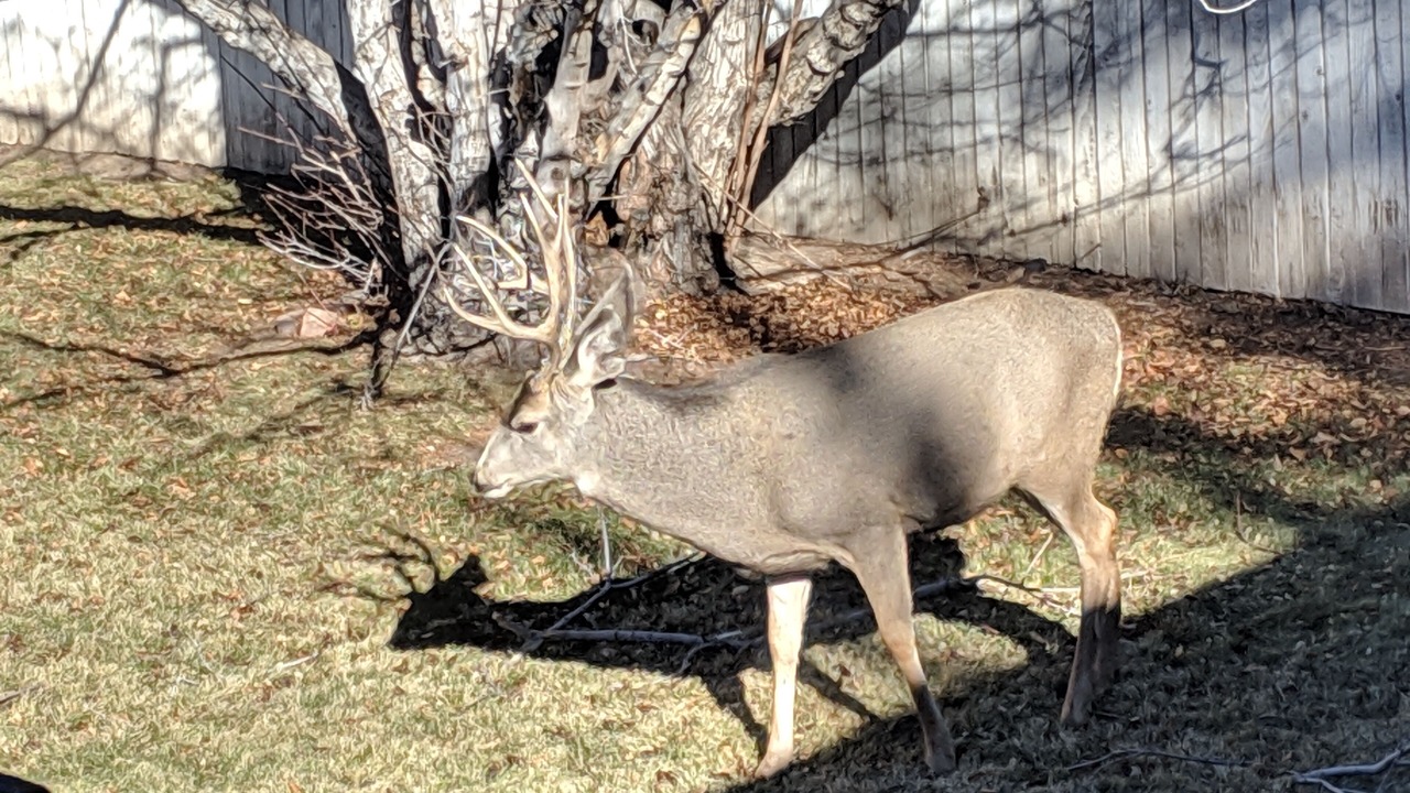 Photo of Others in Salida