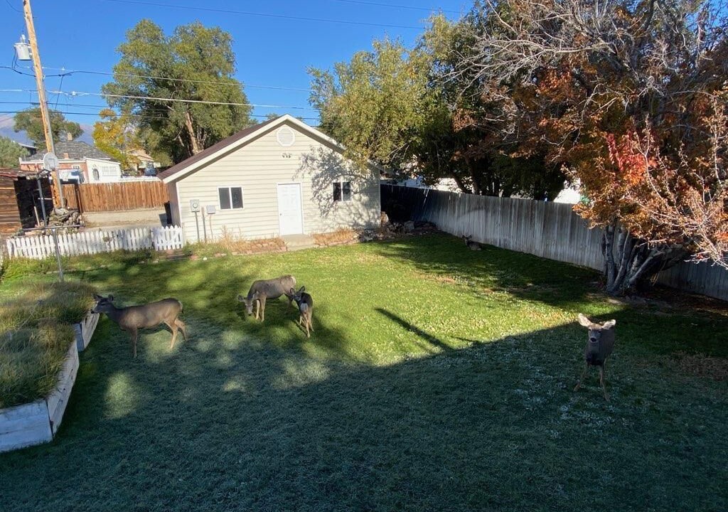 Photo of Others in Salida