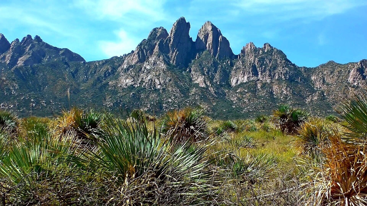 Photo of Outdoor in Mesilla Park