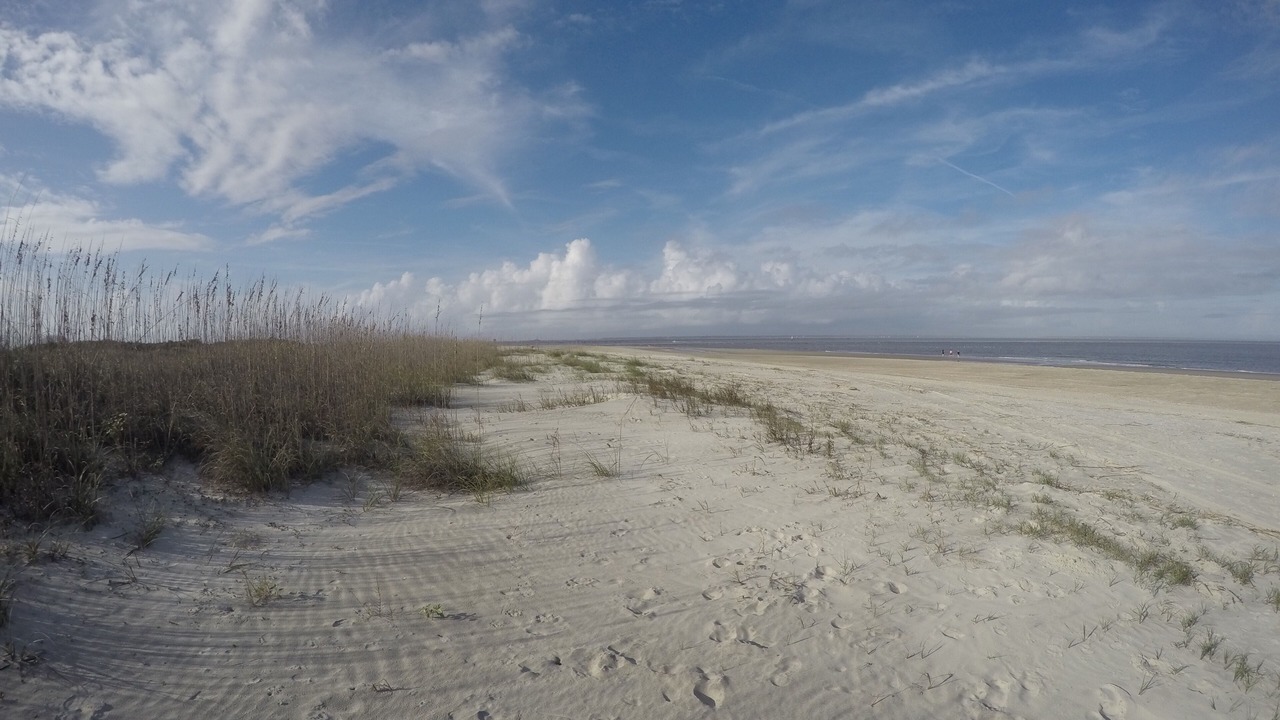 Photo of Others in Tybee Island