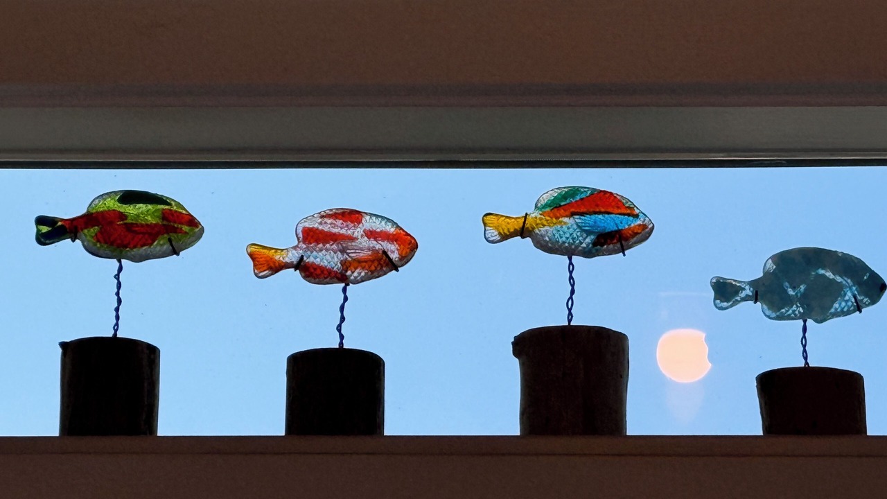 Photo of Others in Bodega Bay