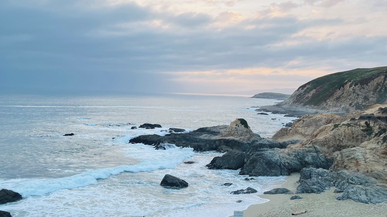 Photo of Others in Bodega Bay