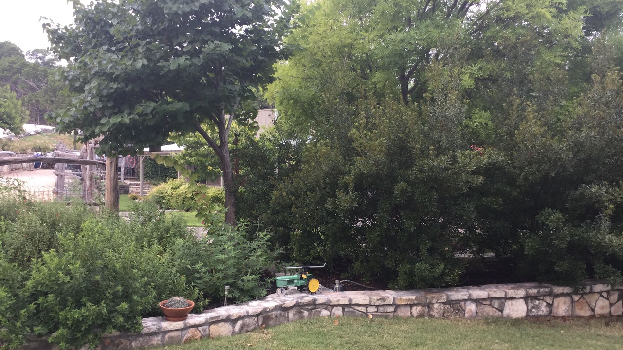 Photo of Outdoor in Hunt