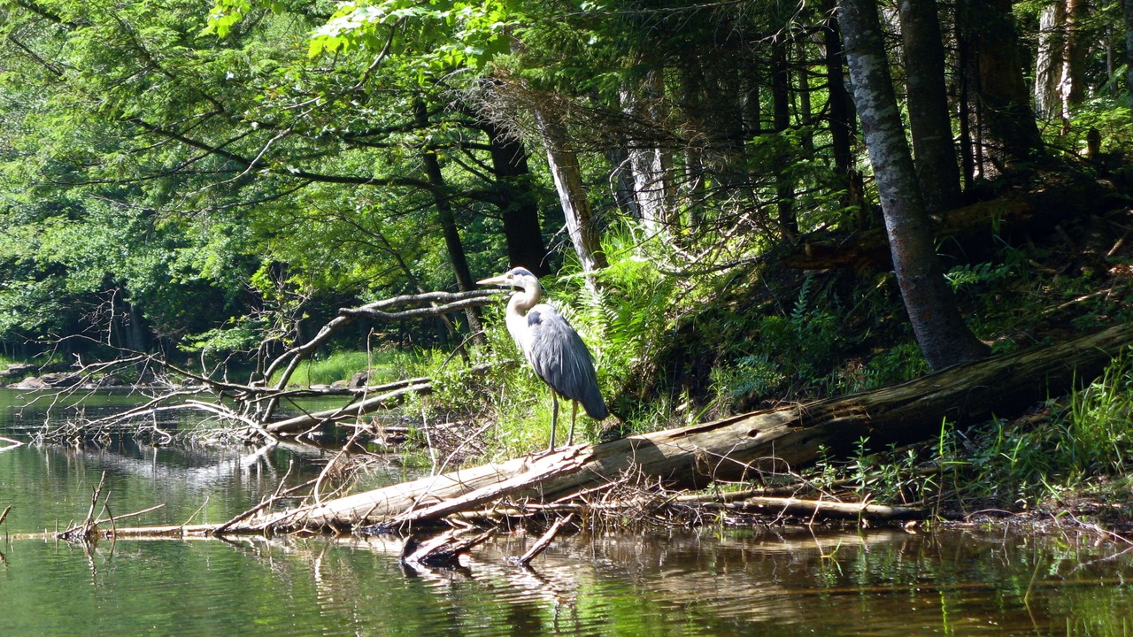 Photo of Others in Town of Webb