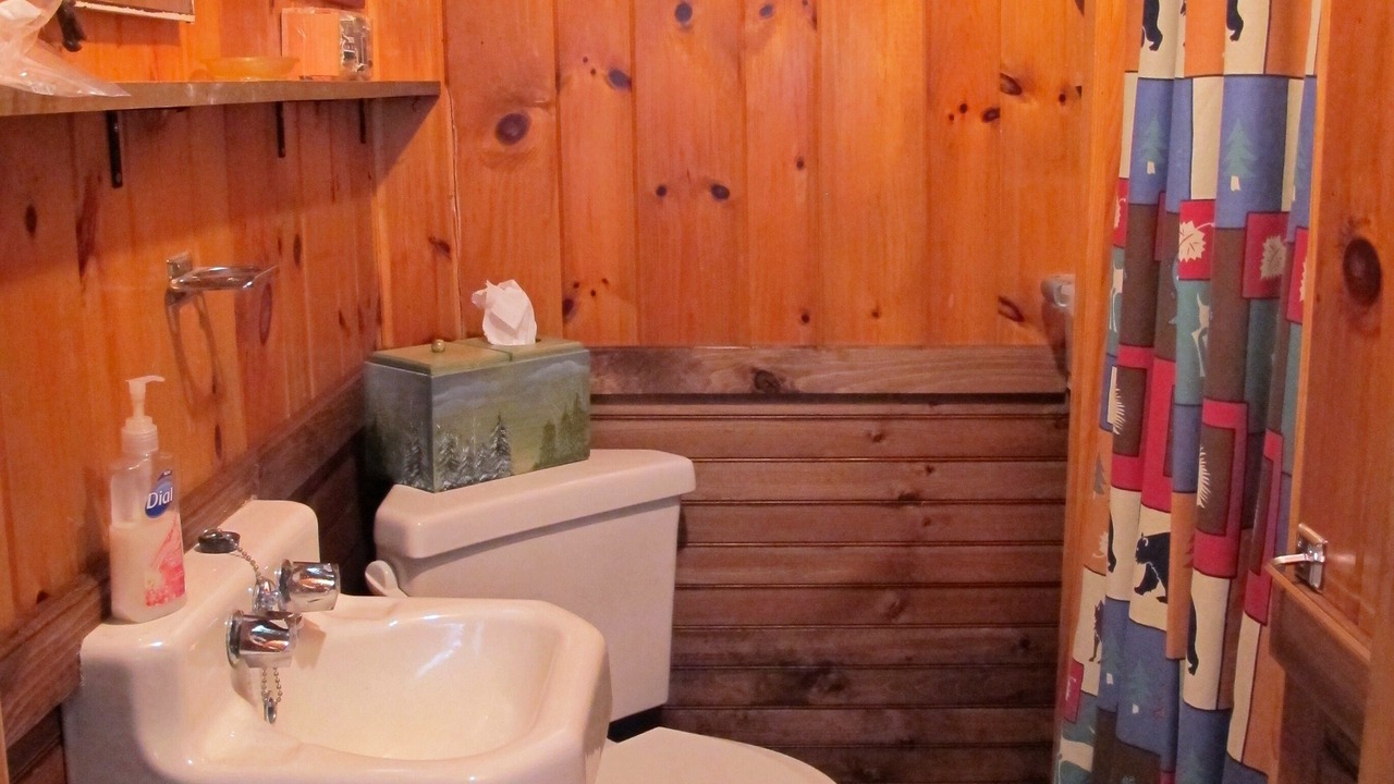 Photo of Bathroom in Town of Webb