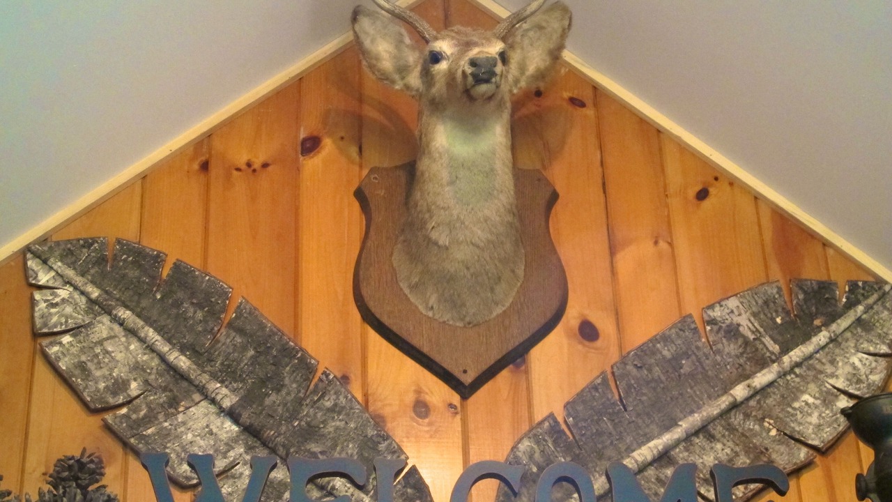 Photo of Others in Town of Webb