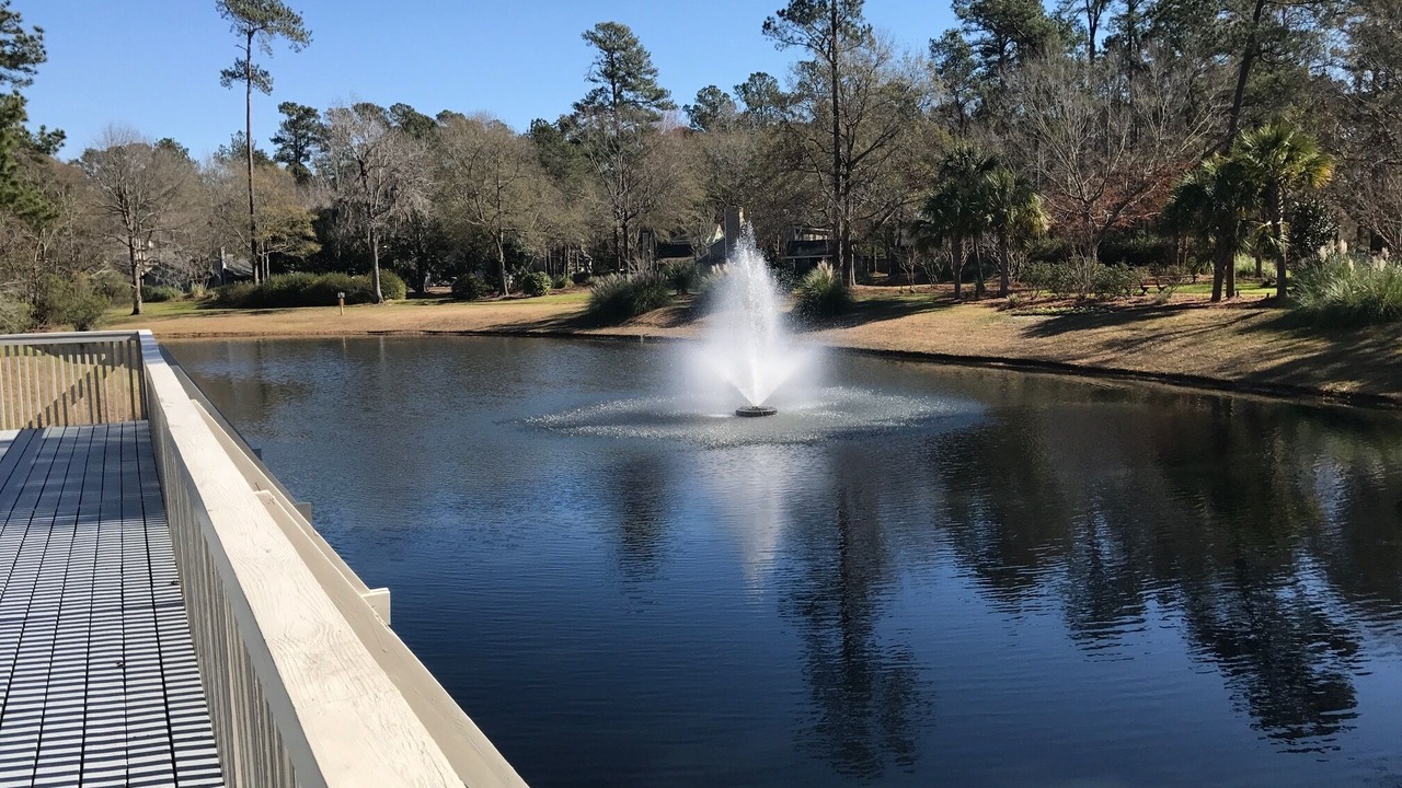 Photo of Outdoor in North Charleston