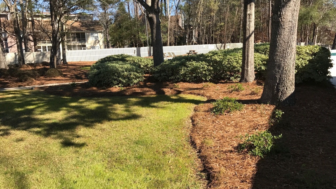 Photo of Outdoor in North Charleston