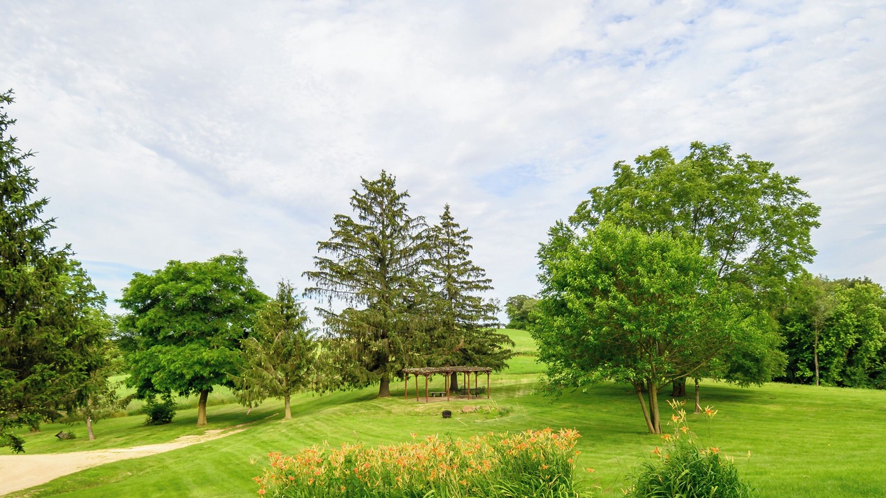 Photo of Outdoor in Avoca
