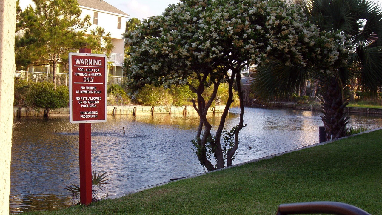 Photo of Outdoor in Thomas Drive