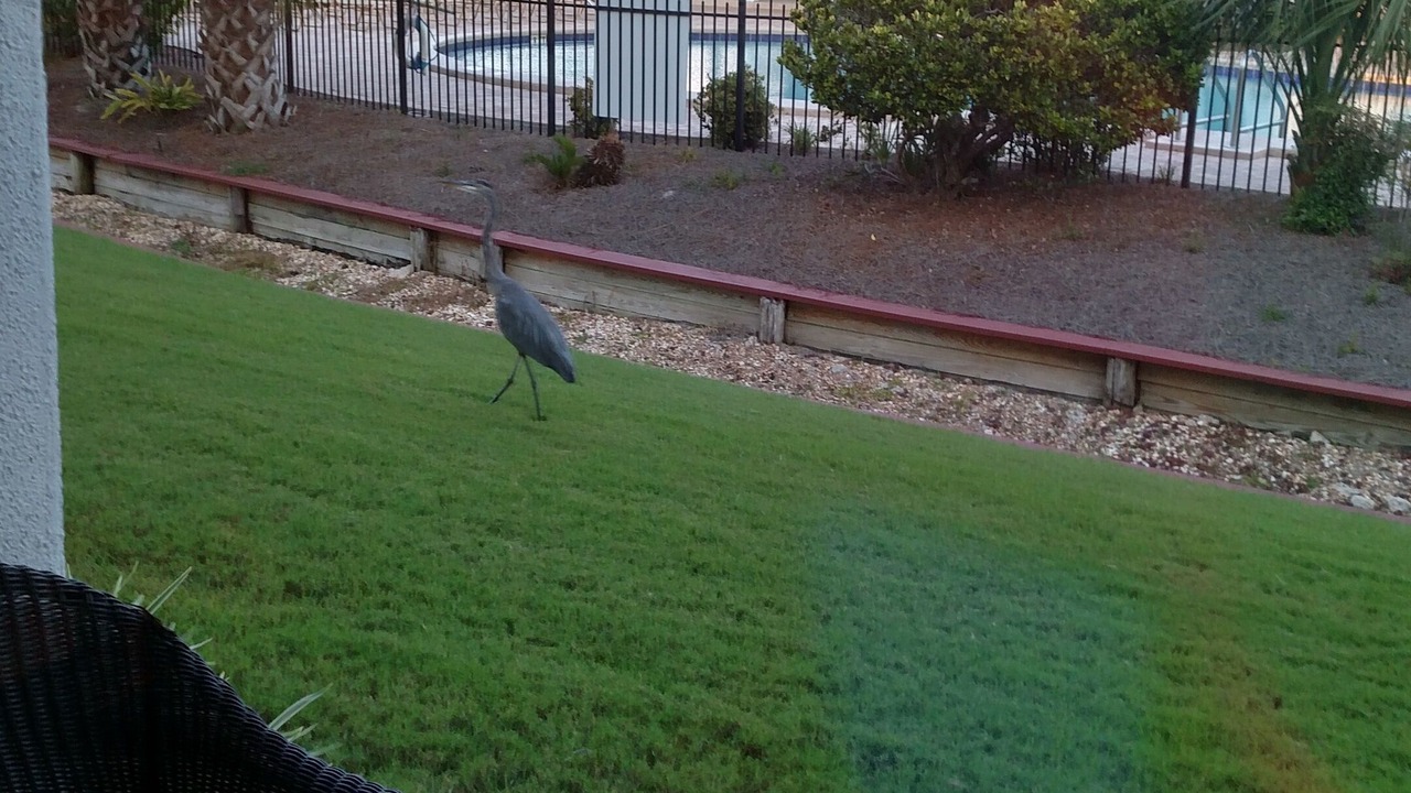 Photo of Others in Thomas Drive