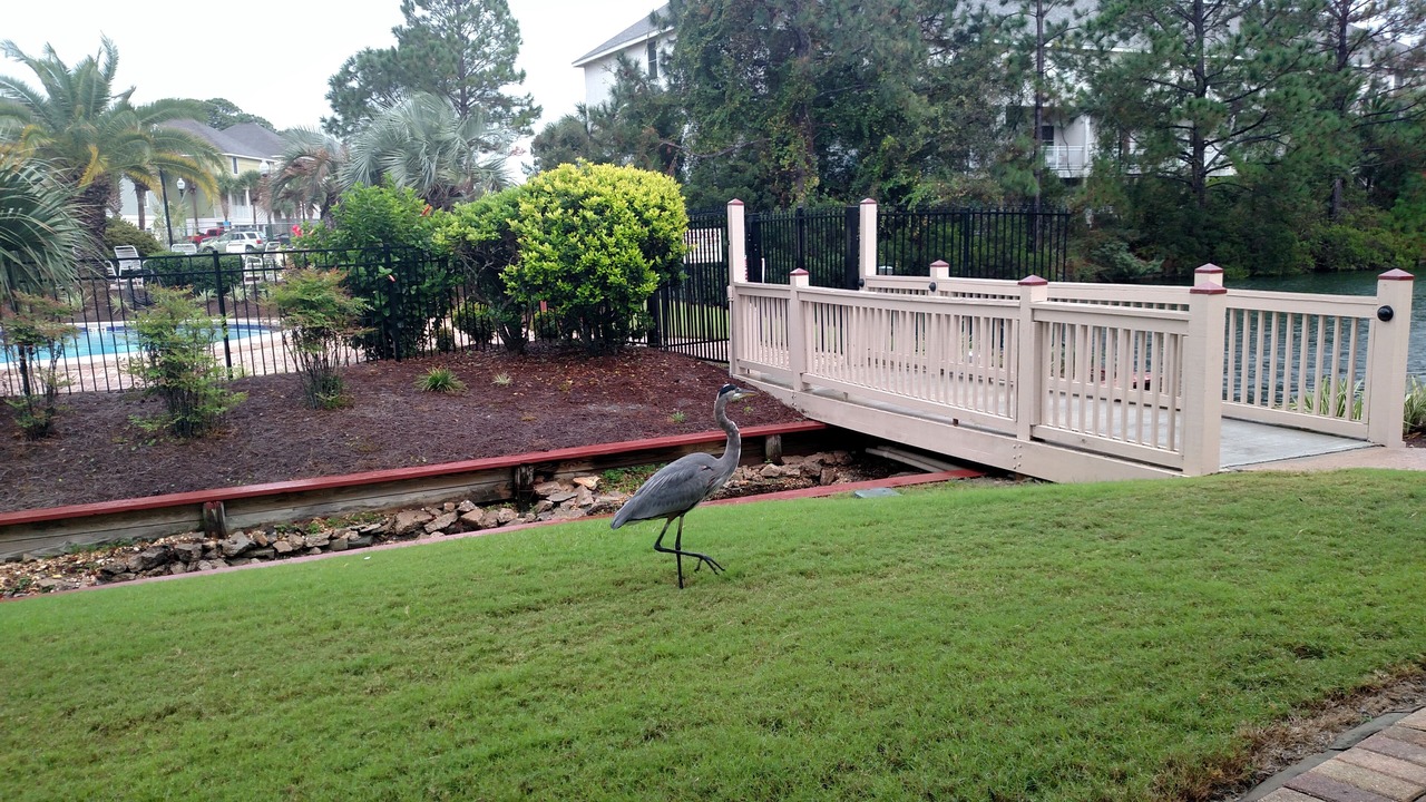 Photo of Others in Thomas Drive