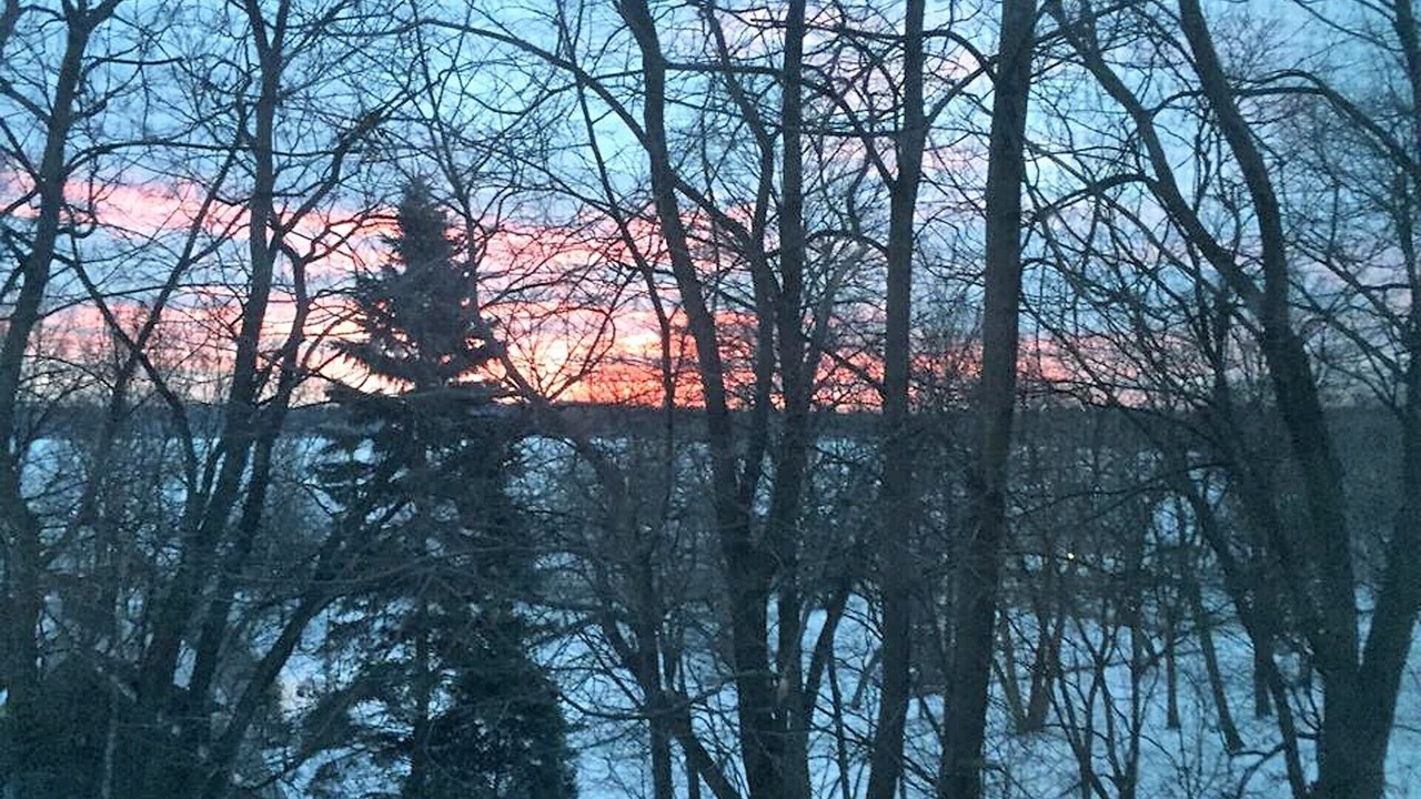Photo of Outdoor in Linden Hills