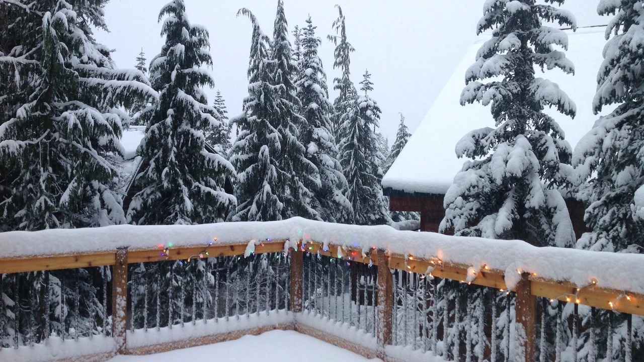 Photo of Outdoor in Government Camp