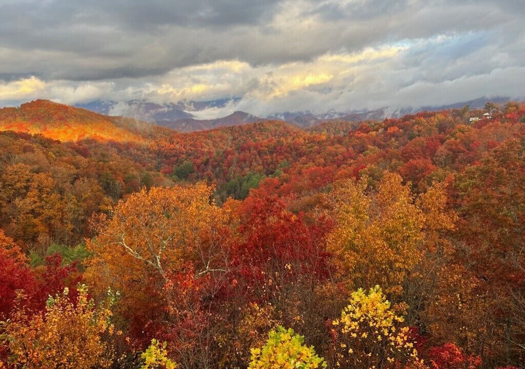Photo of Others in Bryson City