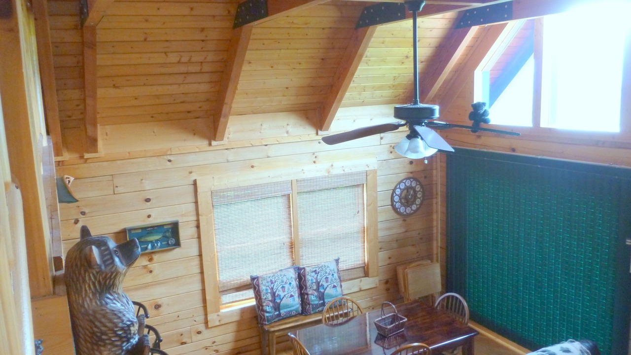 Photo of Others in Bryson City