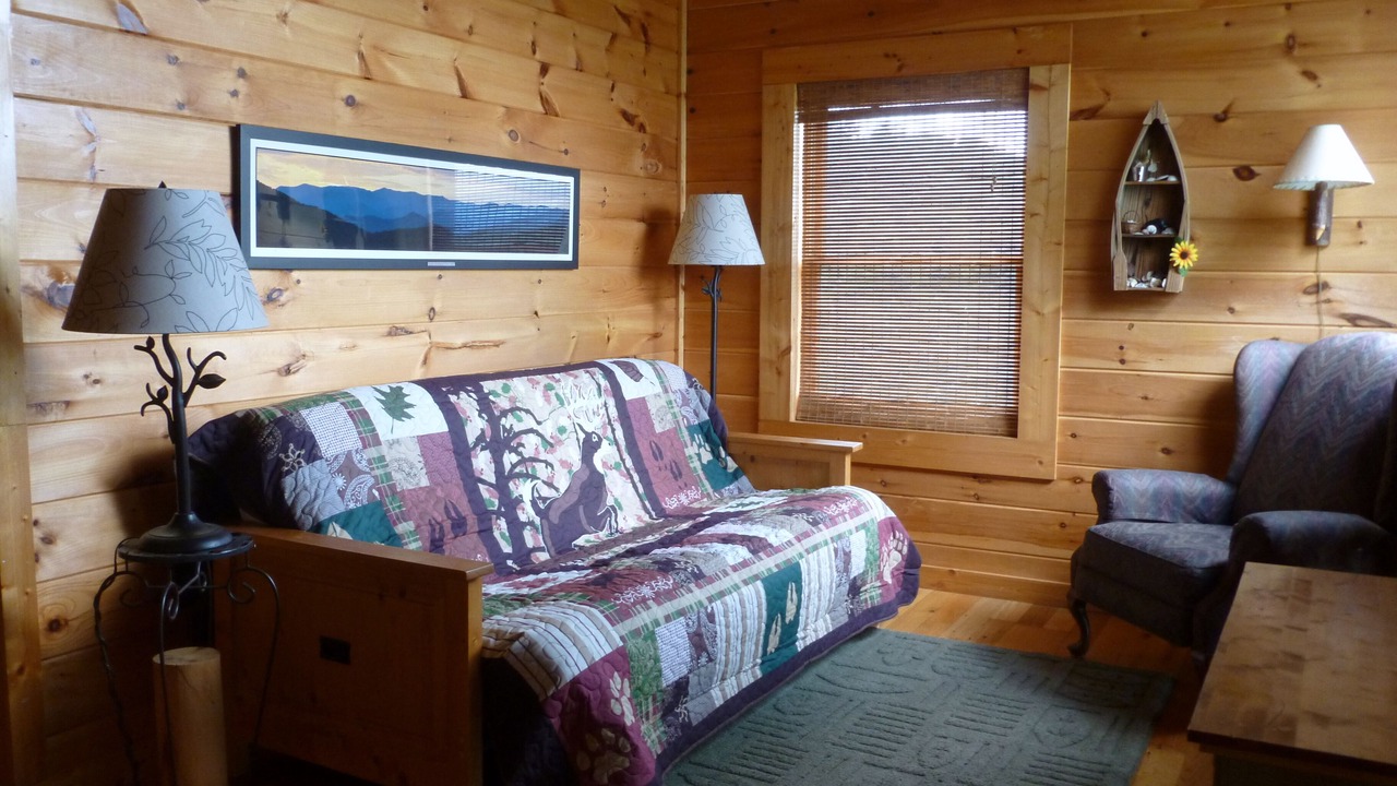 Photo of Livingroom in Bryson City