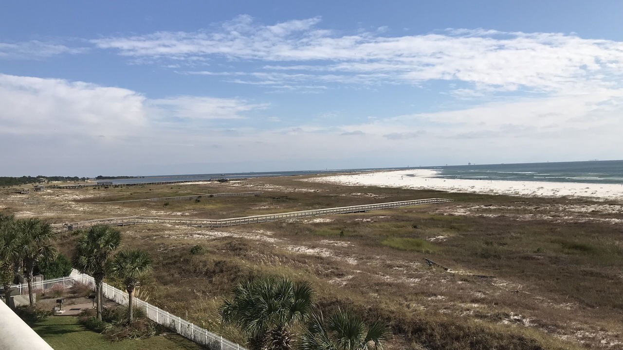 Photo of Others in Dauphin Island