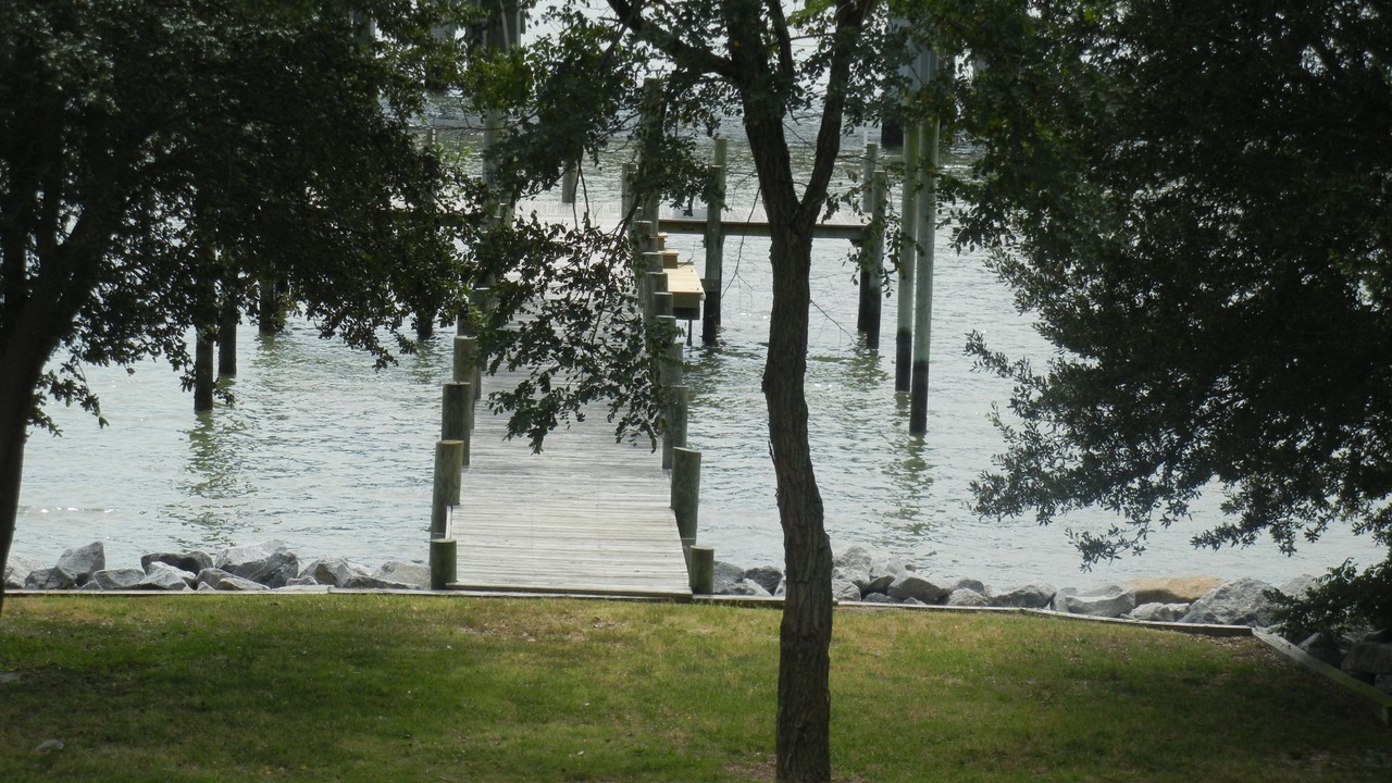 Photo of Others in Willoughby Spit