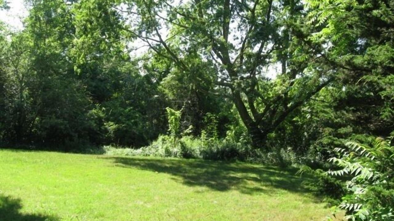 Photo of Others in East Dennis