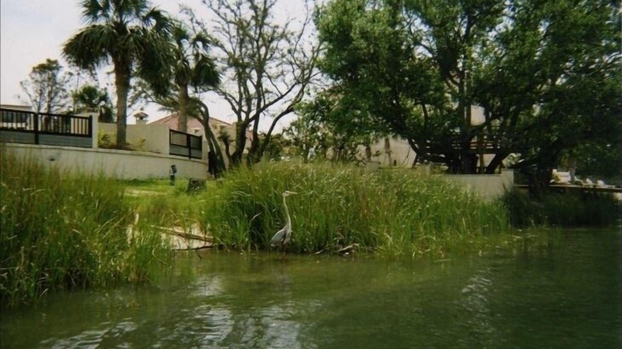 Photo of Outdoor in Ono Island