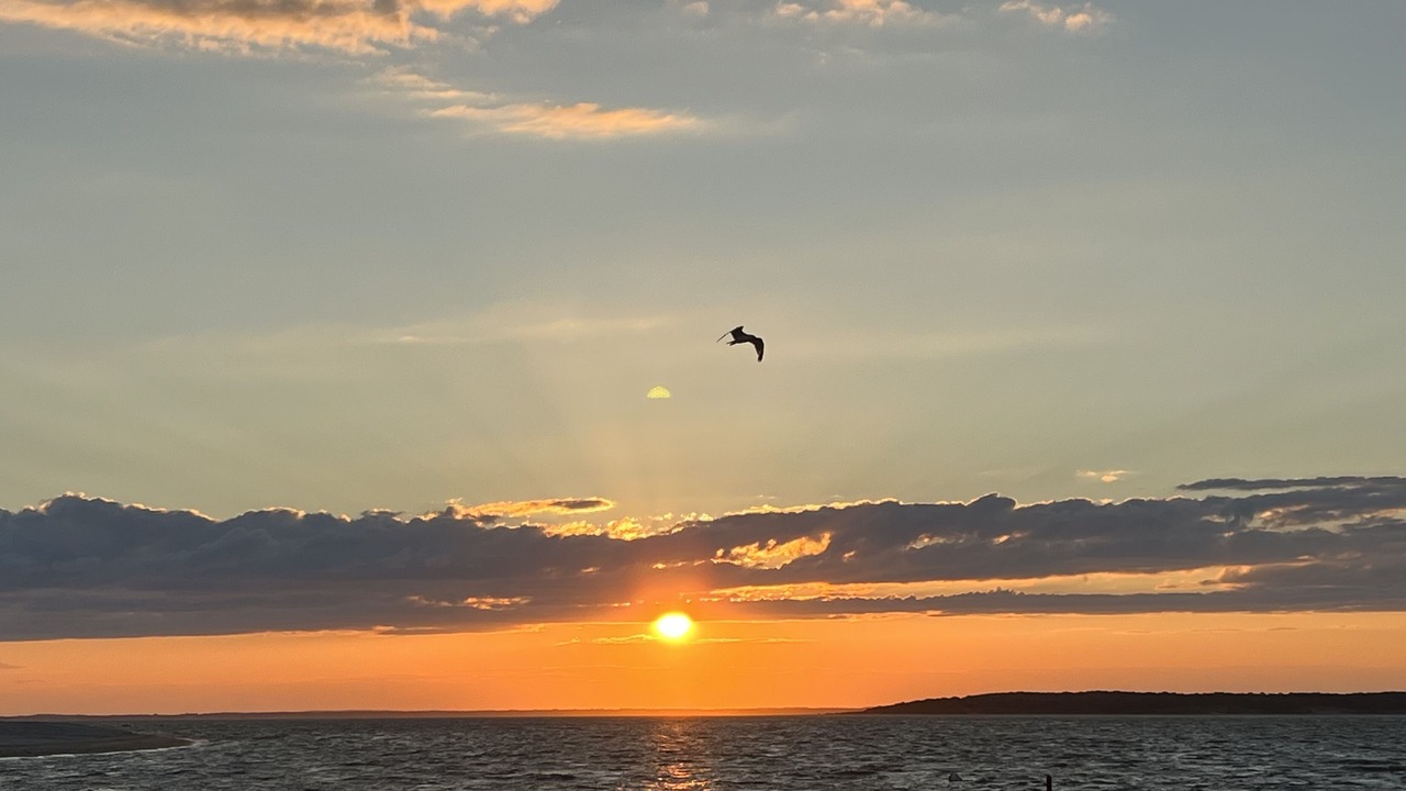 Photo of Outdoor in North Sea