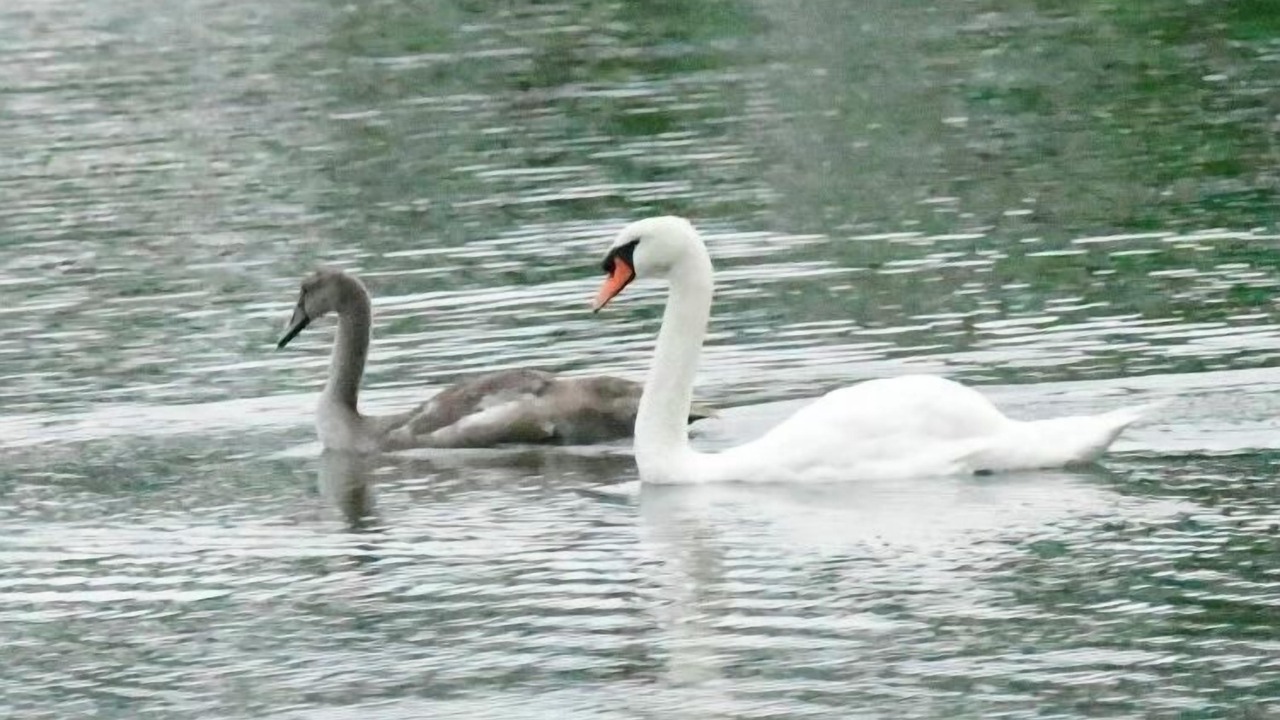Photo of Others in North Sea